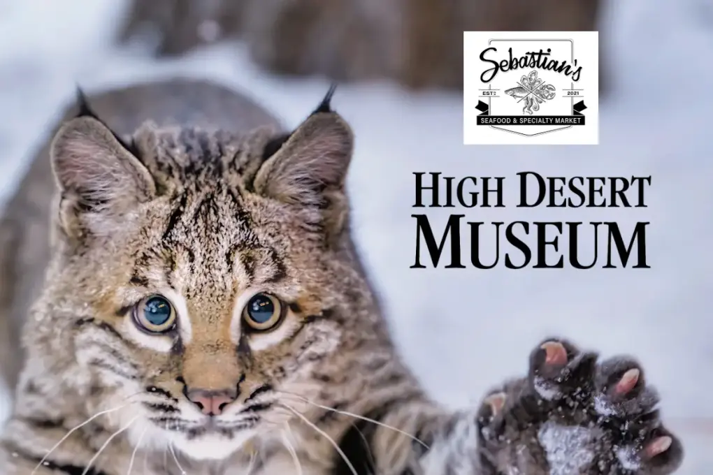 Sebastian’s Seafood and the High Desert Museum
